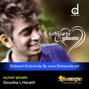 Cover Art – Hadawathe Ida Gaththa - Dinusha L Herath.mp3