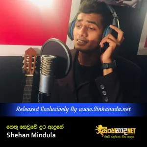 Cover Art – Nethu Sewwe Dura Adune - Shehan Mindula.mp3