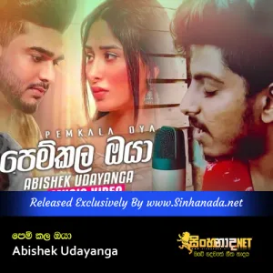 Cover Art – Pemkala Oya - Abishek Udayanga.mp3
