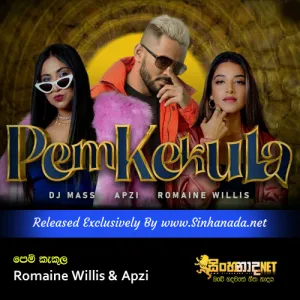 Cover Art – Pem Kekula - Romaine Willis & Apzi.mp3