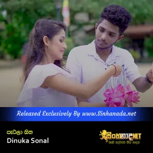 Cover Art – Parila Sitha - Dinuka Sonal.mp3