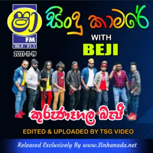 Cover Art – 22. MATHAKA THIYAGANNA - PRASHNA NA THAWATH - Sinhanada.net - SANDEEP JAYALATH.mp3