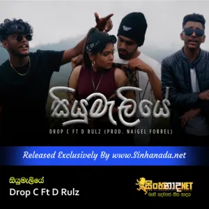Cover Art – Siyumaliye - Drop C Ft D Rulz.mp3