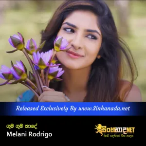 Cover Art – Gum Gum Nade - Melani Rodrigo.mp3
