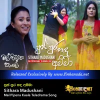 Cover Art – Pun Purahanda Amma - Sithara Madushani Mal Pipena Kaale Teledrama Song.mp3