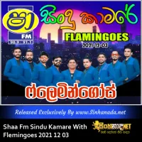 Cover Art – 02 - DJ SONGS NONSTOP - FLEMINGOES.mp3