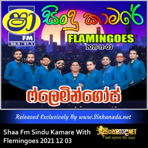 Cover Art – 06 - TRENDING HIT SINHALA SONGS NONSTOP - FLEMINGOES.mp3