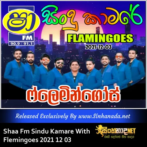 27 - CHAMARA WEERASINGHE & DAMITH ASANKA SONGS NONSTOP - FLEMINGOES.mp3