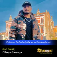 Cover Art – Hithata Ekagawada - Dileepa Saranga.mp3