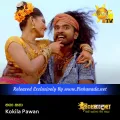Cover Art – Naga Naga - Kokila Pawan.mp3