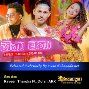 Cover Art – Ae Mudu Komali - Hitha Matha - Raveen Tharuka Ft. Dulan ARX.mp3
