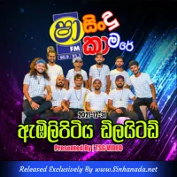 Cover Art – 05 - Dj Style Hits Songs Nonstop - Delighted.mp3