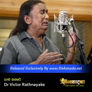 Cover Art – Palu Kathare - Dr Victor Rathnayake.mp3