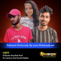 Cover Art – Hamuweema - Shaluka Kaushal And Sn Camou And Aushi Nelka.mp3