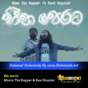Cover Art – Heena Perata - Momo The Rapper & Ravi Royster.mp3