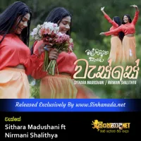 Cover Art – Wasse - Sithara Madushani ft Nirmani Shalithya.mp3