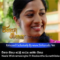 Cover Art – Pem Sina Sala (Vihaga Geethaya Tele Drama Theme Song) - Neela Wickramasinghe Ft Rookantha Gunathilaka.mp3