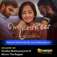 Cover Art – Nodanena Se - Dinelka Muthuarachchi ft Momo The Rapper.mp3