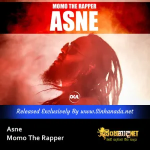 Cover Art – Asne - Momo The Rapper.mp3