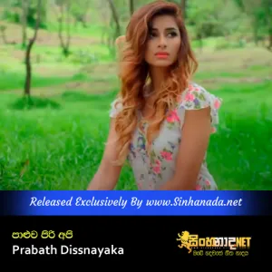 Cover Art – Paluwa Piri Api - Prabath Dissnayaka.mp3