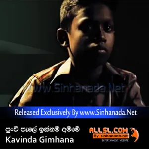 Cover Art – Punchi Pale Innam Amme - Kavinda Gimhana.mp3
