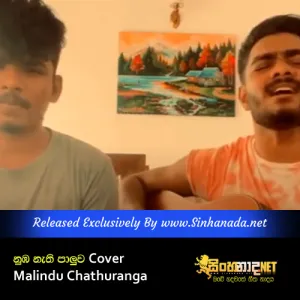 Nuba Nethi Paluwa - Cover Malindu Chathuranga.mp3