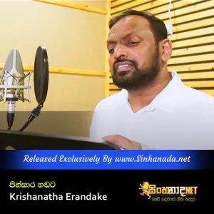 Cover Art – Pinsara Handata - Krishanatha Erandake.mp3