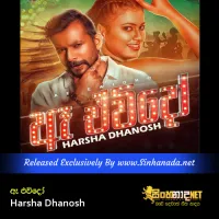 Cover Art – Ae Ewido - Harsha Dhanosh.mp3