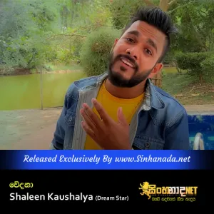 Cover Art – Wedana - Shaleen Kaushalya (Dream Star).mp3
