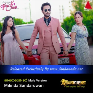 Cover Art – Nopenena Se - Ansathu Oba Tharam - Milinda Sandaruwan Male Version.mp3