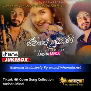 Cover Art – Amisha Minol Tiktok Hit Cover Song Collection.mp3