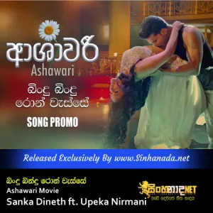 Cover Art – Bindu Bindu Ron Wasse - Ashawari Movie - Sanka Dineth ft. Upeka Nirmani.mp3