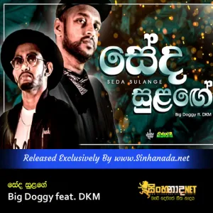 Cover Art – Seda Sulange - Big Doggy feat. DKM.mp3