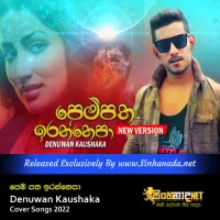 Cover Art – Pempatha Irannepa Guruthumani - Denuwan Kaushaka Cover Songs 2022.mp3