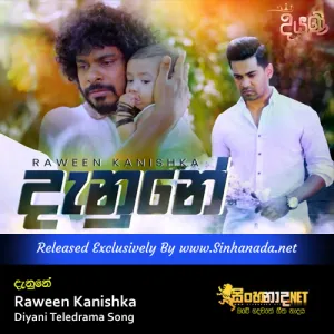 Cover Art – Danune - Raween Kanishka Diyani Teledrama Song.mp3