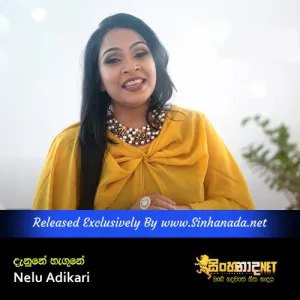 Cover Art – Danune Hagune - Nelu Adikari.mp3