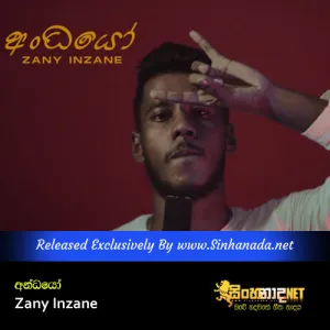 Cover Art – Andhayo - Zany Inzane.mp3