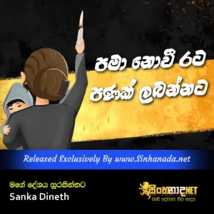 Cover Art – Mage Deshaya Surakinnata - Sanka Dineth.mp3