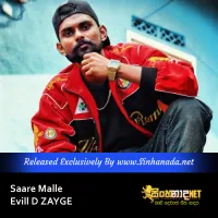 Cover Art – Saare Malle - Evill D ZAYGE.mp3