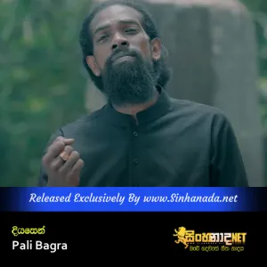 Cover Art – Diyasen - Pali Bagra.mp3