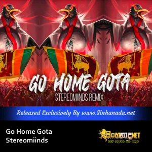 Cover Art – Go Home Gota - Stereomiinds.mp3