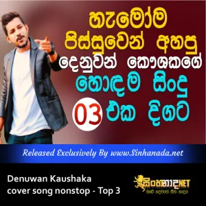 Cover Art – Denuwan Kaushaka cover song nonstop - Top 3.mp3
