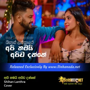 Cover Art – Api Thamai Apiwa Danne - Shihan Lanthra Cover.mp3