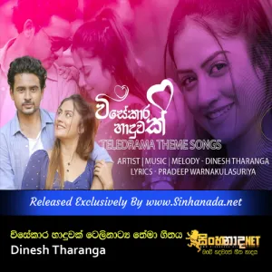 Cover Art – Visekara Haduwak Teledrama Theme Song - Hangen Nathi Adare - Dinesh Tharanga.mp3