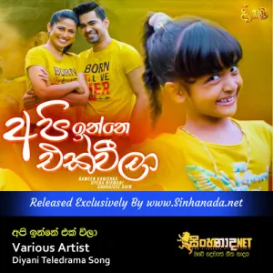 Cover Art – Api Inne Ekweela - Various Artist Diyani Teledrama Song.mp3