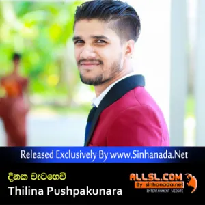 Cover Art – Dinaka Watahevi - Thilina Pushpakunara.mp3