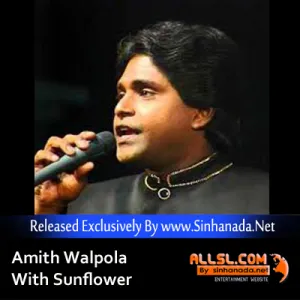 Cover Art – 07 - PERA JATHI JATHI MA - Sinhanada.net - Amith Walpola.mp3