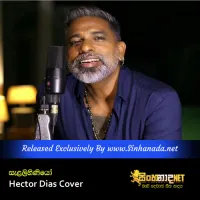 Cover Art – Salalihiniyo - Hector Dias Cover.mp3