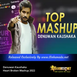 Cover Art – Denuwan Kaushaka Heart Broken Mashup 2022.mp3