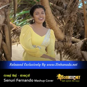 Cover Art – Aaley Mal & Naden - Senuri Fernando Mashup Cover.mp3